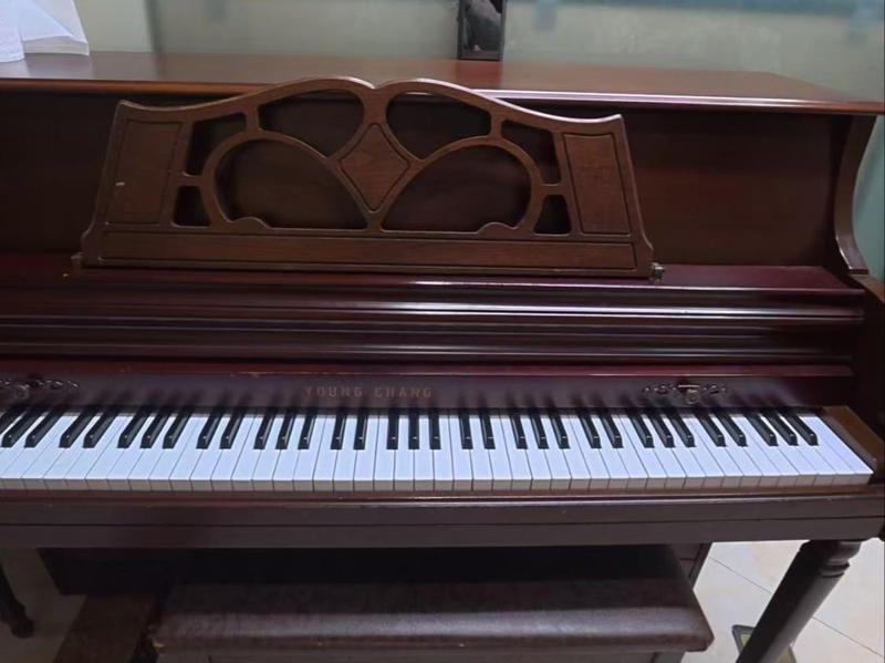  《钢琴租赁核心技术指标：内行用这套筛选逻辑，找出沈阳最优琴源》 新闻