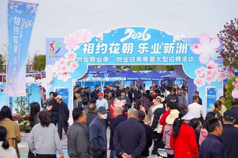  新洲“春风有约”：传统集市与数字就业服务的创新融合实践 新闻
