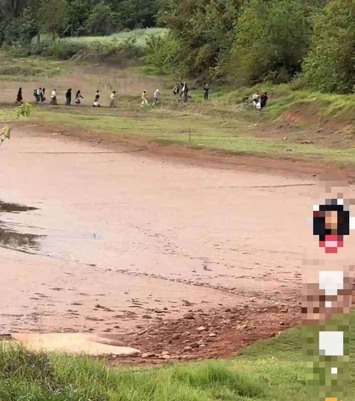 从“荒野求生”到法律红线：音乐节黄牛带路逃票的深层逻辑与风险拆解