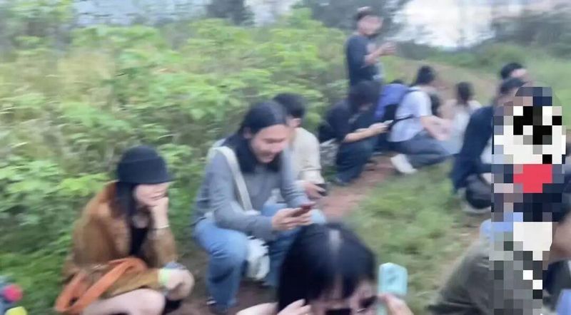 从“荒野求生”到法律红线:音乐节黄牛带路逃票的深层逻辑与风险拆解 娱乐新闻