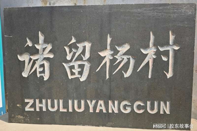 「胶东姓氏文献考：福山杨氏墓志铭的史学价值与家族源流」