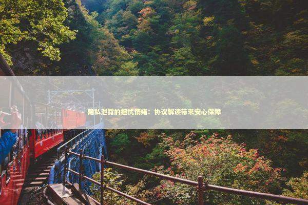 隐私泄露的担忧情绪：协议解读带来安心保障 新闻