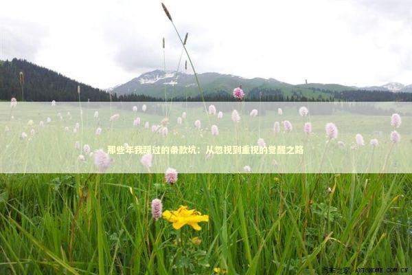 那些年我踩过的条款坑：从忽视到重视的觉醒之路 IT技术