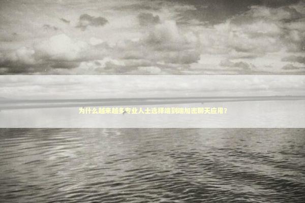 为什么越来越多专业人士选择端到端加密聊天应用？ IT技术