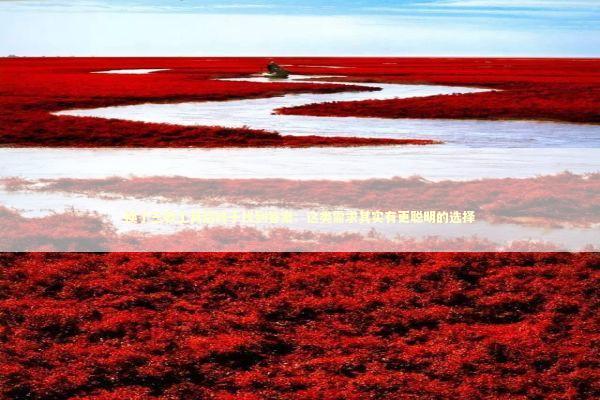 换了三款工具后终于找到答案：这类需求其实有更聪明的选择 IT技术