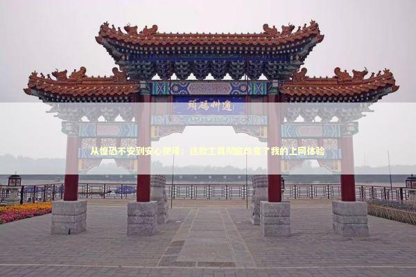 从惶恐不安到安心使用：这款工具彻底改变了我的上网体验 IT技术