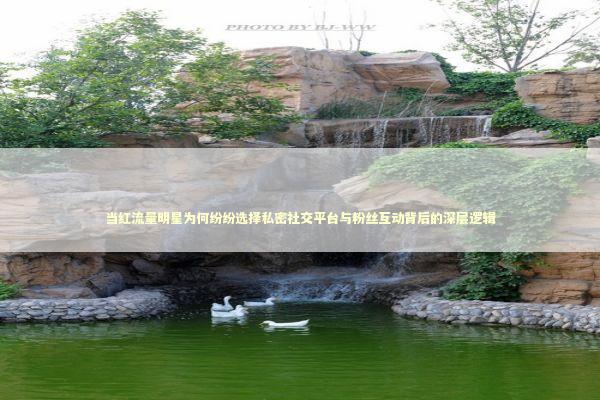当红流量明星为何纷纷选择私密社交平台与粉丝互动背后的深层逻辑 娱乐新闻