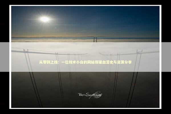 从零到上线：一位技术小白的网站搭建血泪史与资源分享 IT技术