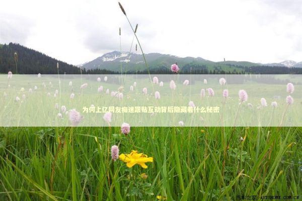 为何上亿网友痴迷跟贴互动背后隐藏着什么秘密