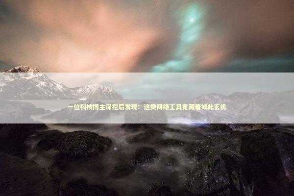 一位科技博主深挖后发现：这类网络工具竟藏着如此玄机 IT技术